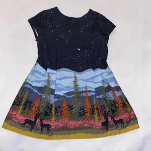 OshKosh b'gosh North Woods Landscape and Starry‎ Sky Dress 18 months